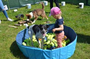 10Cmuchaci zahrada pobavila pejsky i deti
