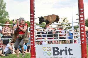 15 Majitelka skok prozivala