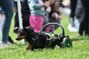 Hendikepovany take bezel dostih DSC 5838 00001