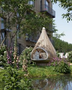 Slunec ni  terasa kokon