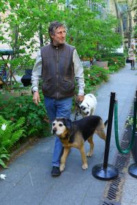 Vasek Vydra prisel s pejsky 5R1A3830-70