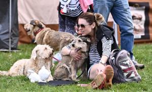 atmosfera na Psim dnu