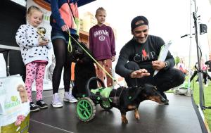 moderator Daniel Zdarsky